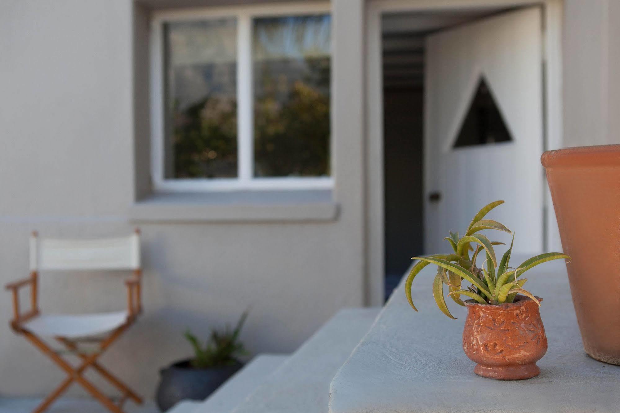 The Lions Guest House Κέιπ Τάουν Εξωτερικό φωτογραφία